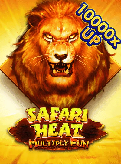 BPL cricket betting cover